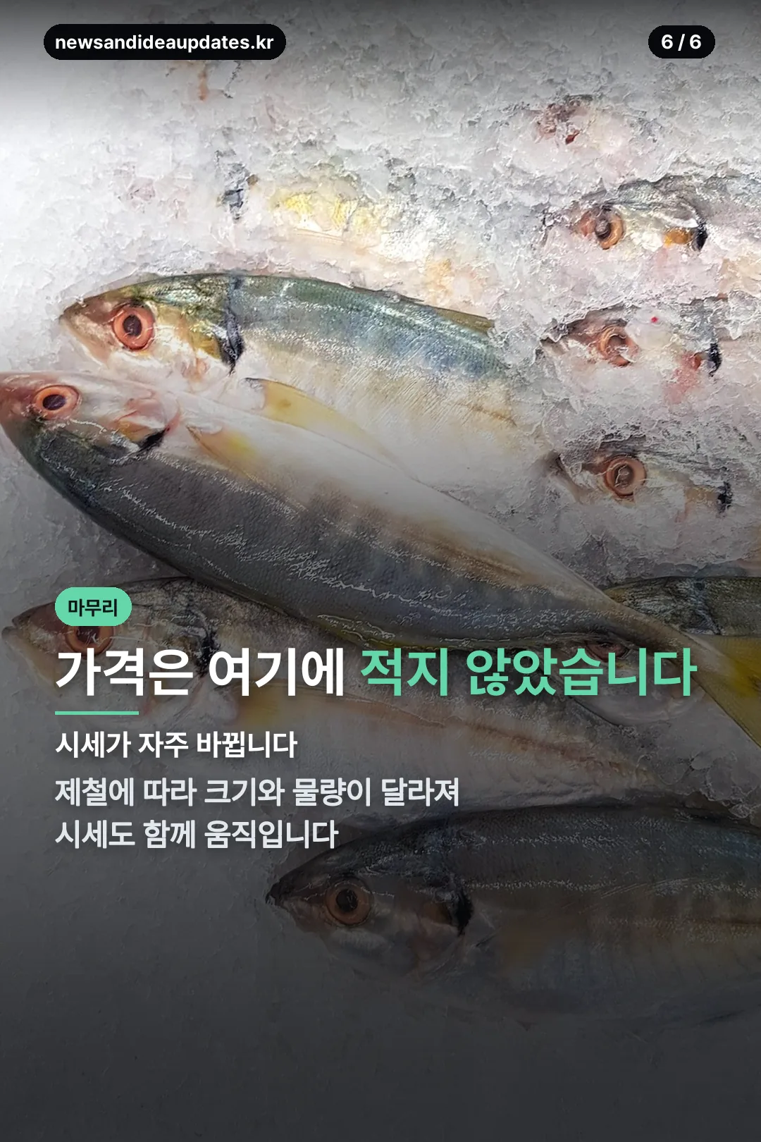 가격 확인 마무리