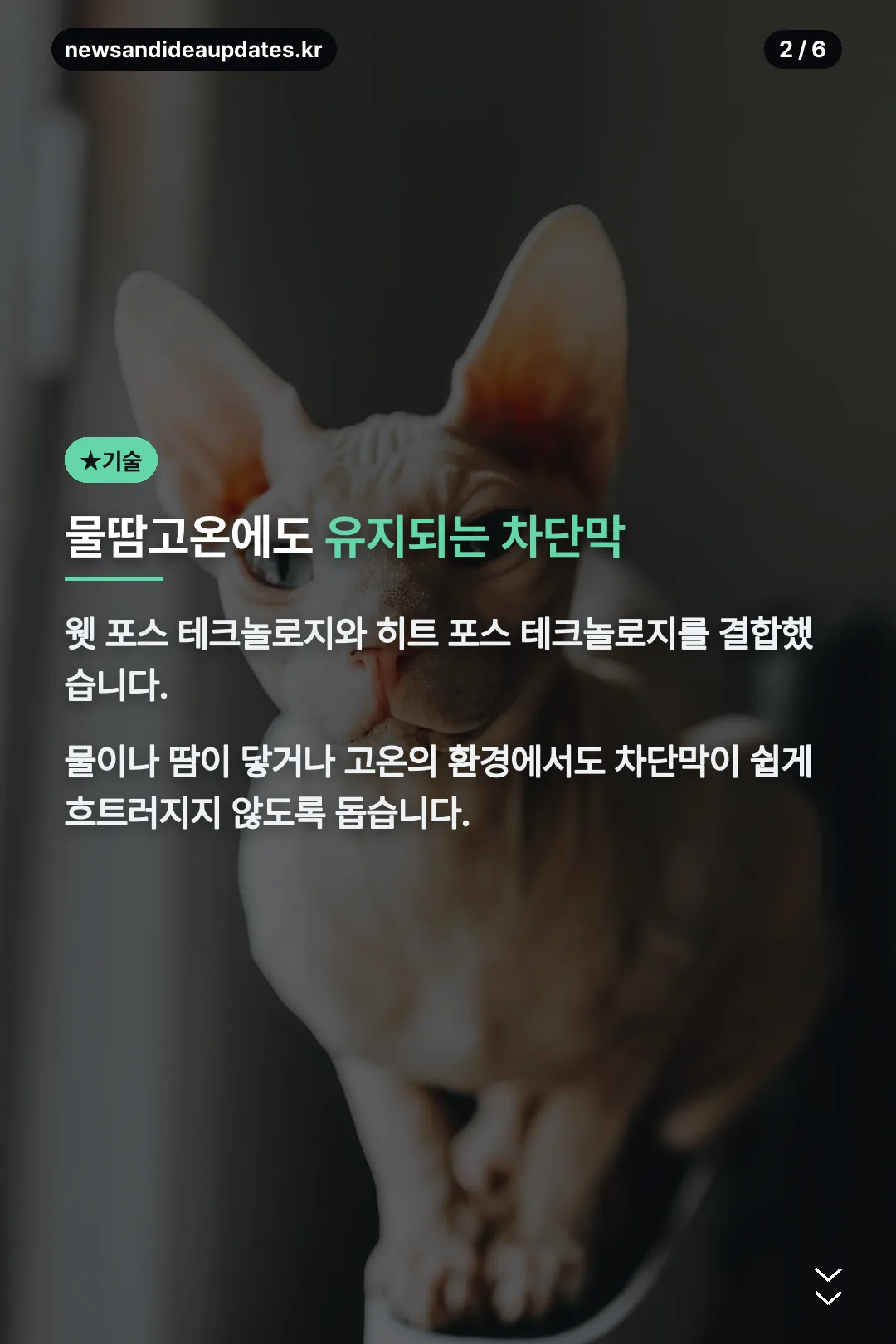 차단막 기술 설명