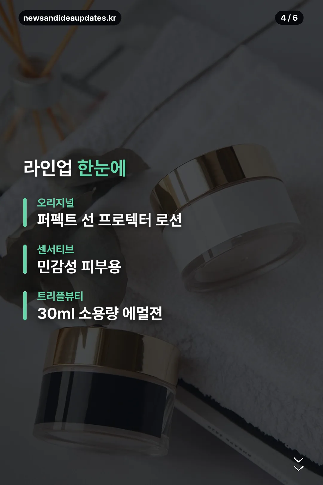라인업 정리