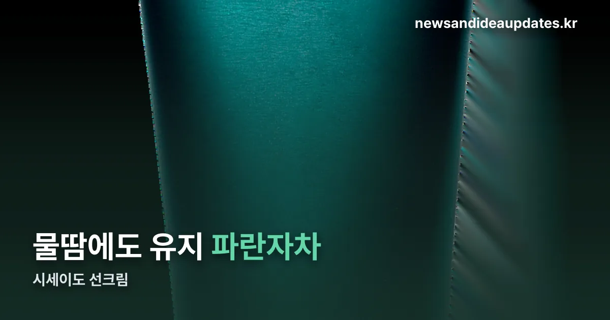 시세이도 선크림 정리 썸네일