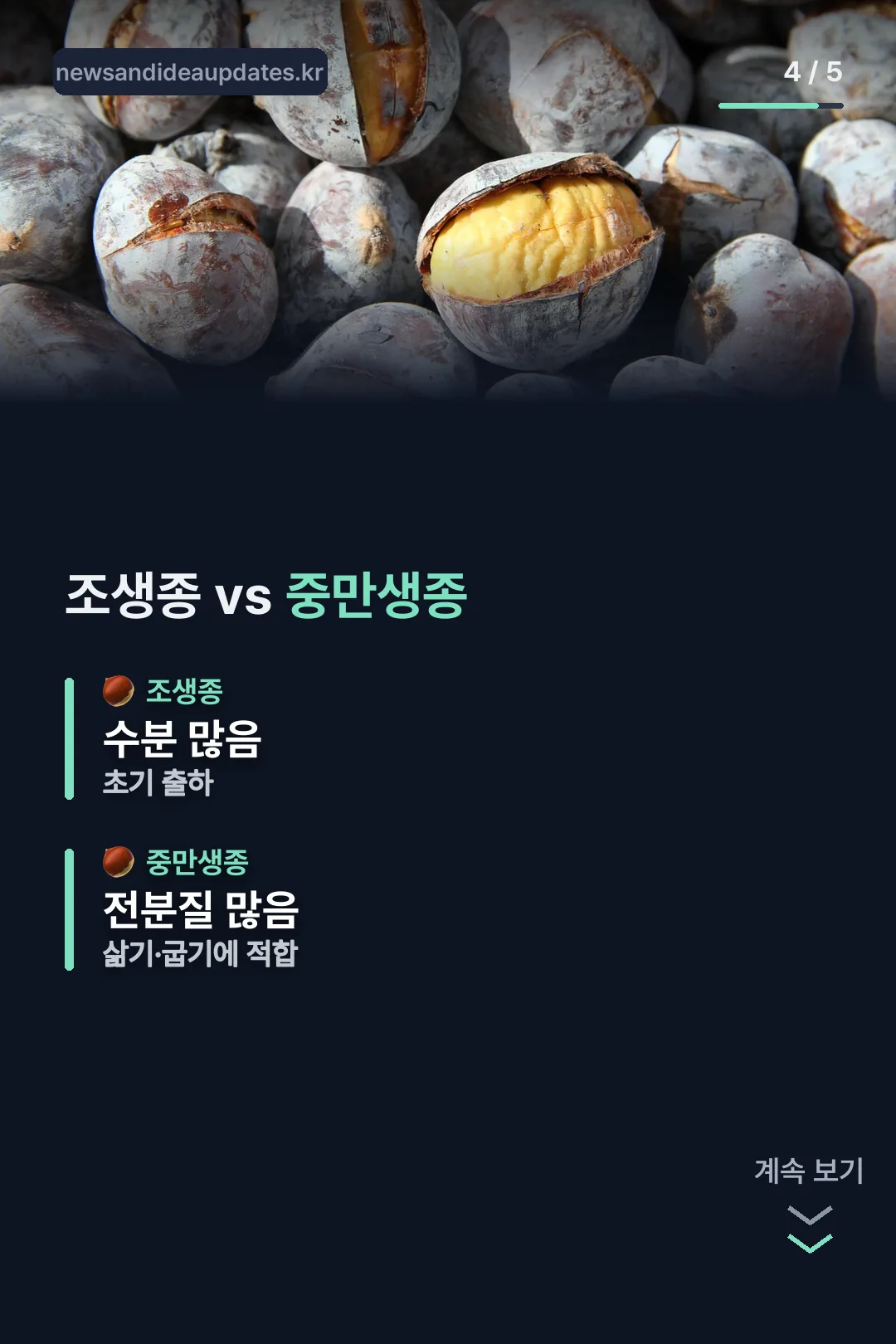조생종과 중만생종 비교