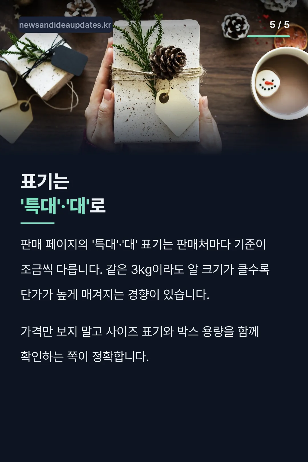 사이즈 표기와 가격
