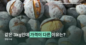햇밤시세 — 2026년 출하 흐름과 3kg 박스당 가격대 정리
